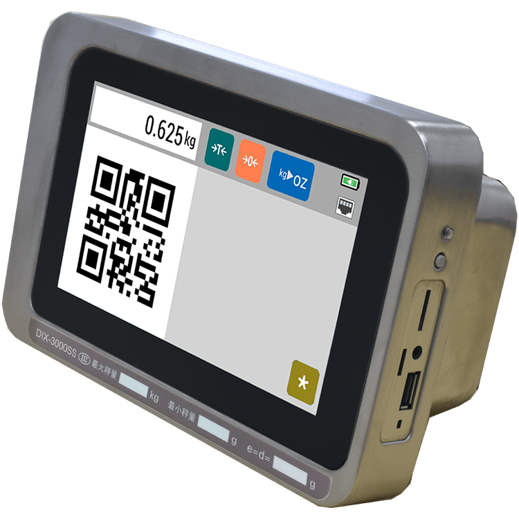 TSDIX3000SS Scale Indicators Right Angle