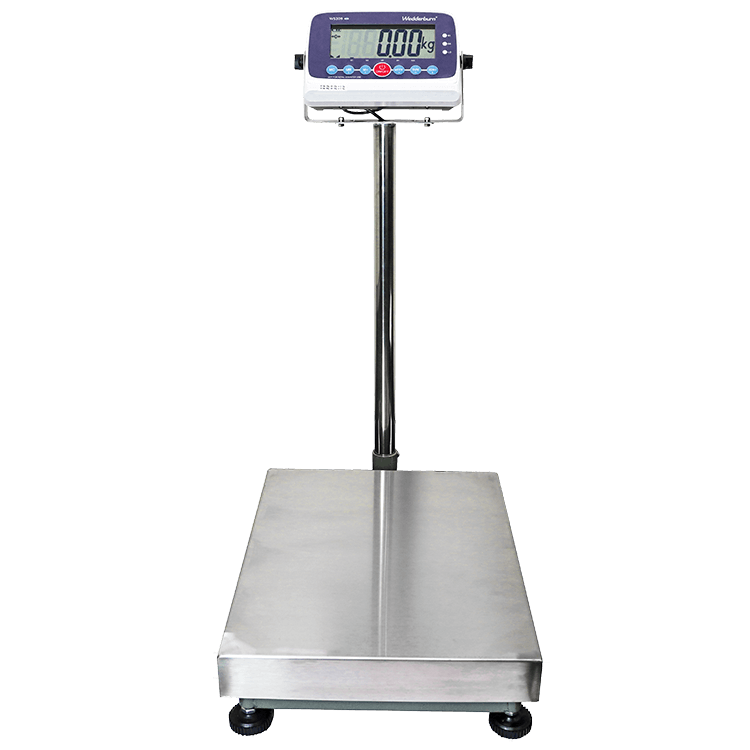 WS209F General Purpose Scales Front Angle