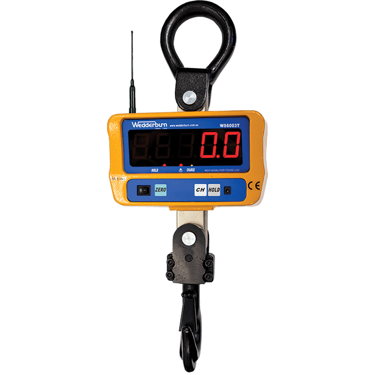 WS600RF Crane Scale Facing Front