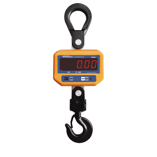 WS601 Crane Scale Facing Front
