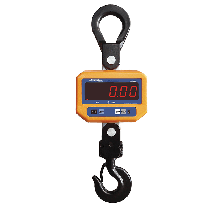 WS601 Crane Scale Facing Front