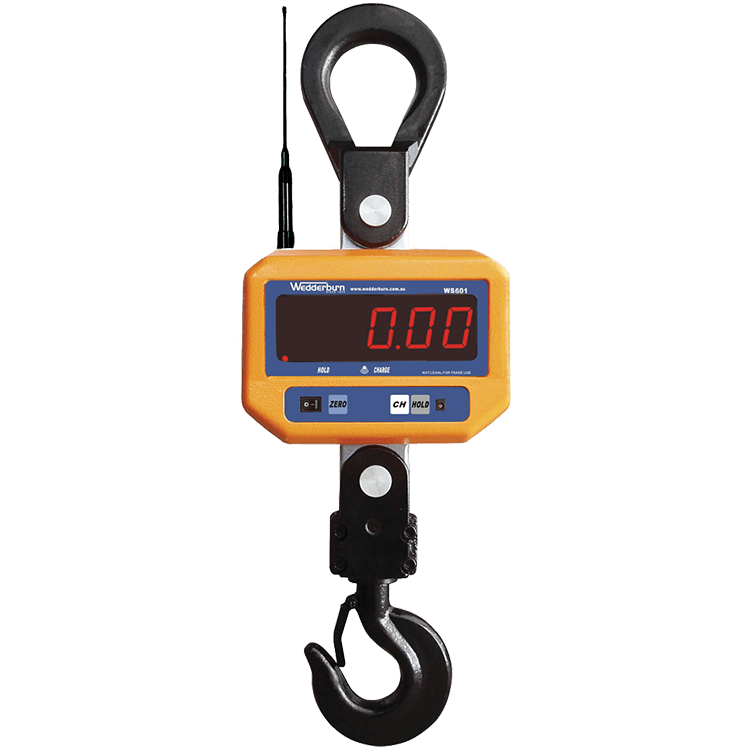 WS601RF Crane Scale Facing Front